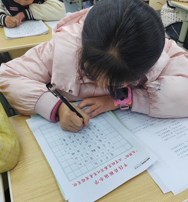 1733478151286451.jpg 1733478151286451.jpg