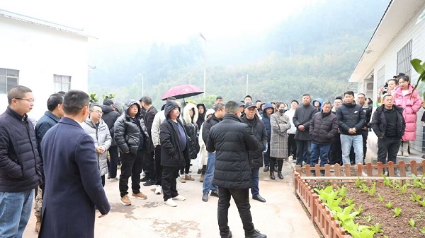 1735203126480187.png 1735203126480187.png