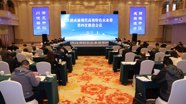 开江、梁平共建成渝现代高效特色农业带第四次推进会议.jpg 开江、梁平共建成渝现代高效特色农业带第四次推进会议.jpg