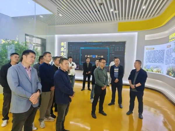 开江县任市镇“渝”上取经拓新路，赋能乡村振兴“新引擎”