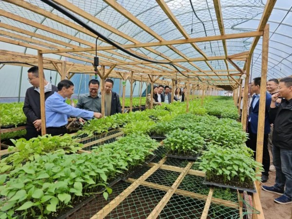 640 (5).jpg 640 (5).jpg