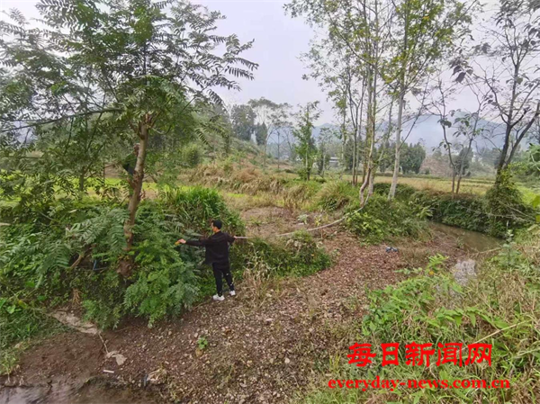 20250605033500546.png 20250605033500546.png