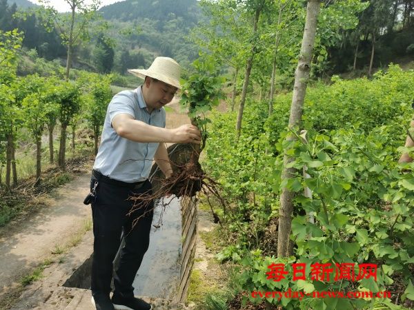 微信图片_2025-06-09_111502_289(1).jpg 微信图片_2025-06-09_111502_289(1).jpg