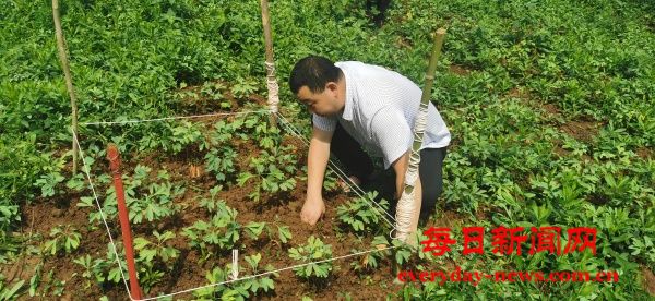 微信图片_2025-06-09_111508_193(1).jpg 微信图片_2025-06-09_111508_193(1).jpg