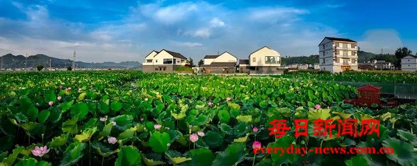 微信图片_20250621082546.jpg 微信图片_20250621082546.jpg