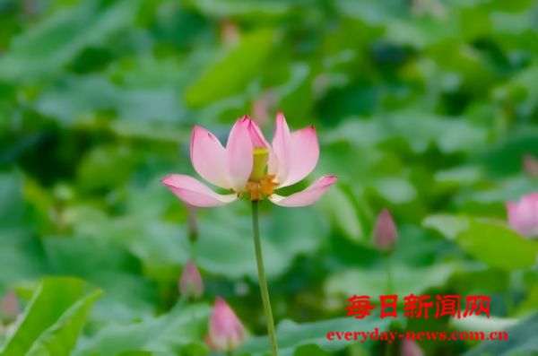 微信图片_2025-06-21_190526_349(1).jpg 微信图片_2025-06-21_190526_349(1).jpg