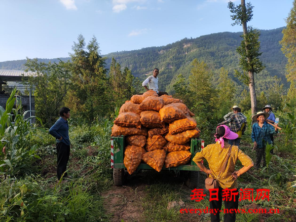 图片1.png 图片1.png