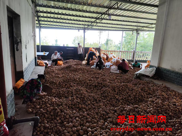 图片2.png 图片2.png