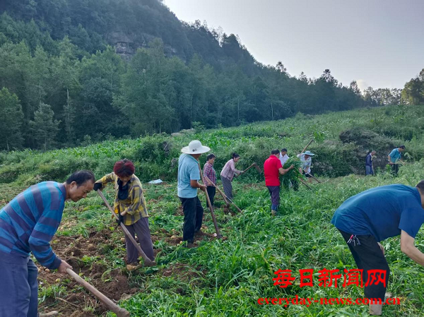 图片3.png 图片3.png