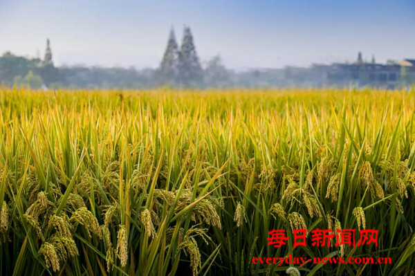 微信图片_20250818155352.png 微信图片_20250818155352.png