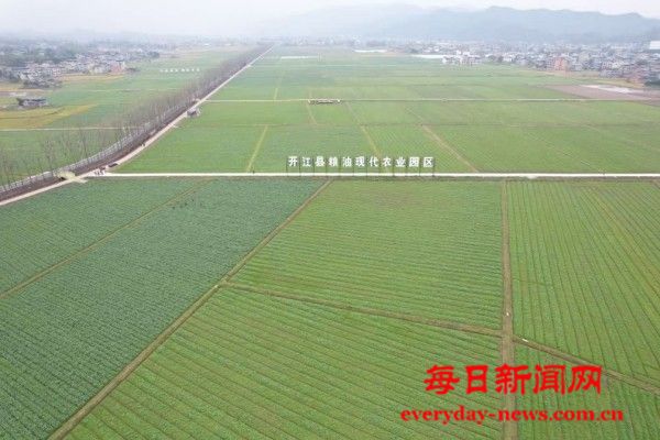 微信图片_20260211155210_233_2.jpg 微信图片_20260211155210_233_2.jpg