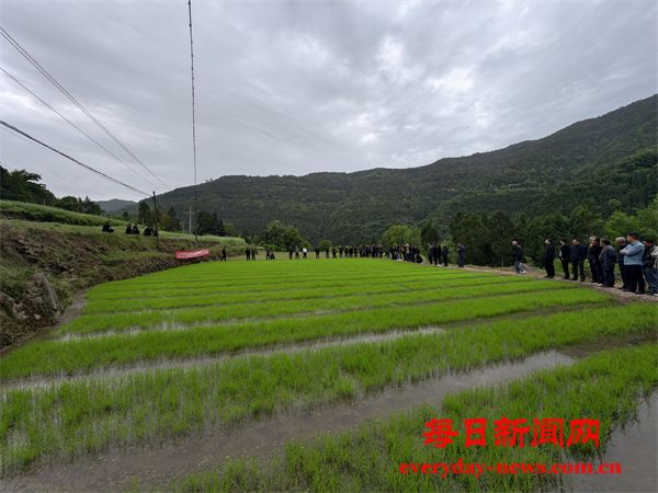 恩阳雪山镇:以技赋能，筑牢大春生产丰收根