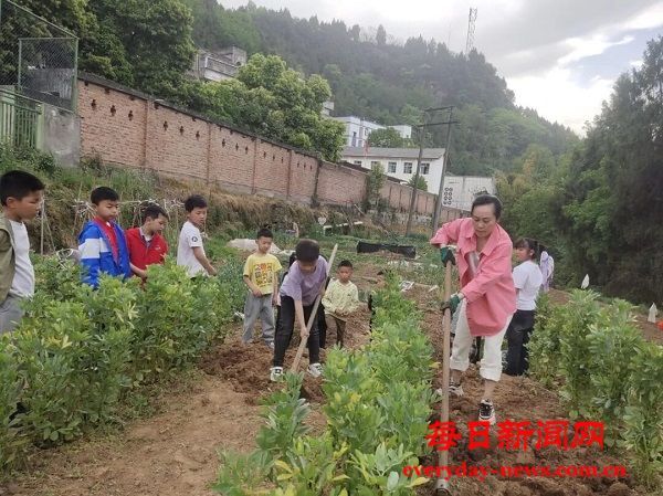 恩阳区石城小学：劳动基地播种忙，童心耕耘