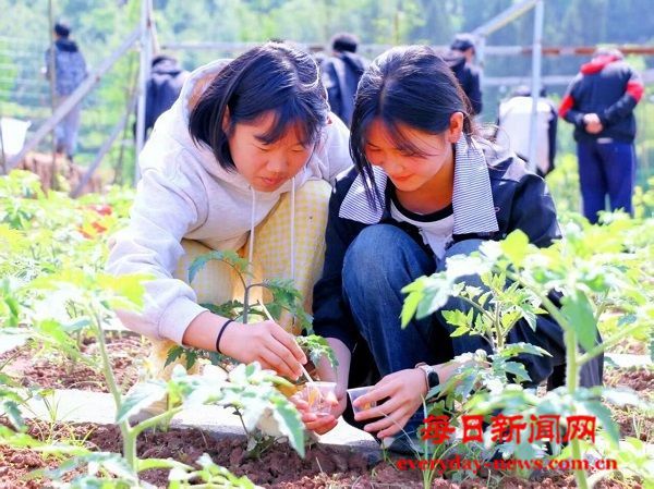 把实验室搬进责任田——巴州区水宁寺小学打